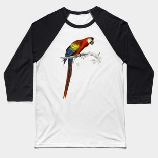 Parrot Baseball T-Shirt